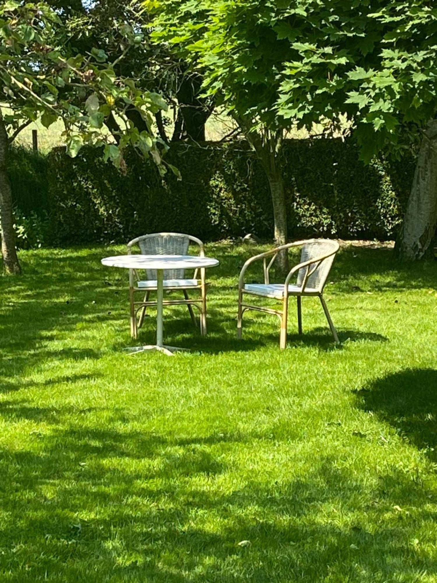 B&B De Tol Hulst Εξωτερικό φωτογραφία